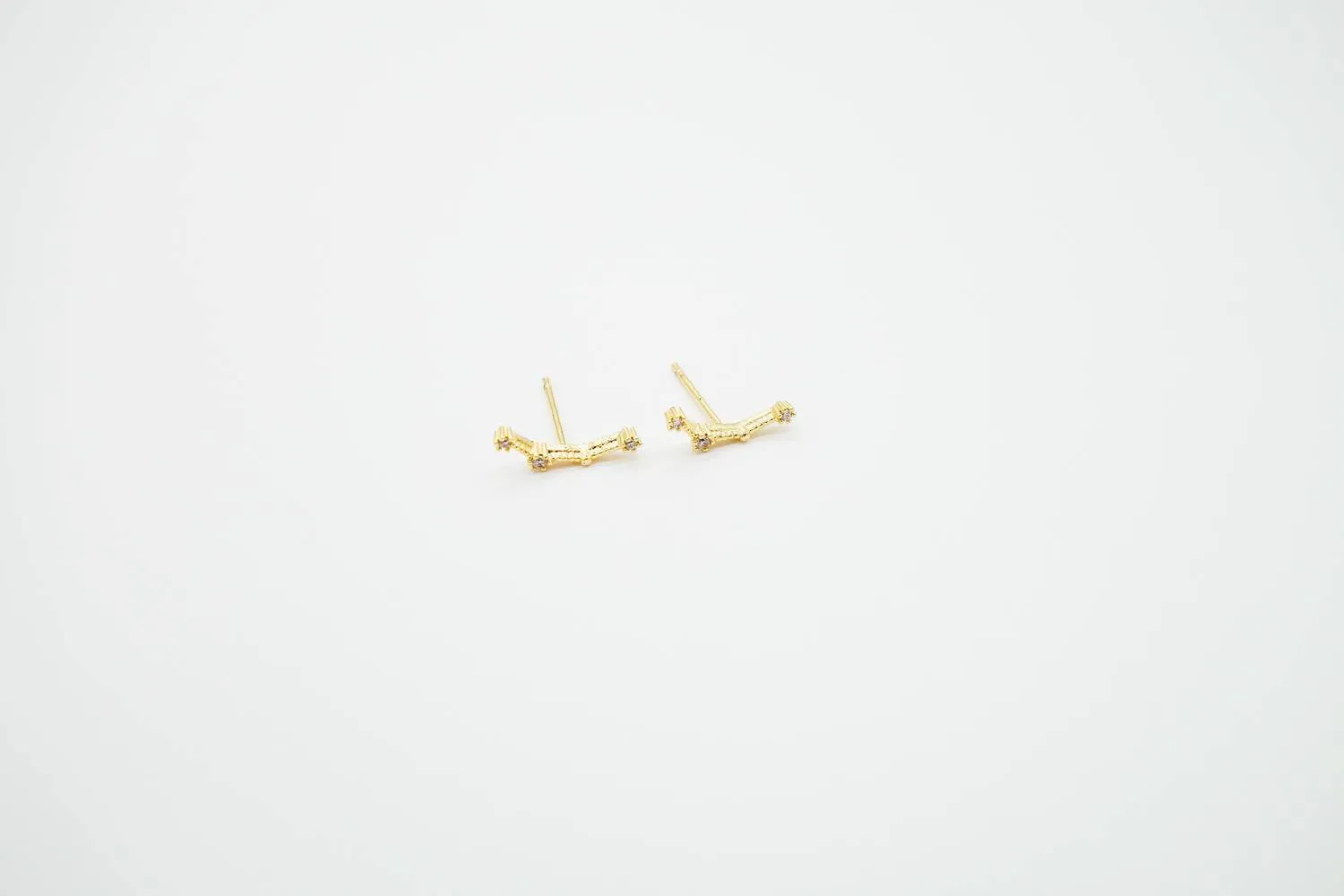 Aquarius Earrings Jan 20. - Feb 18.