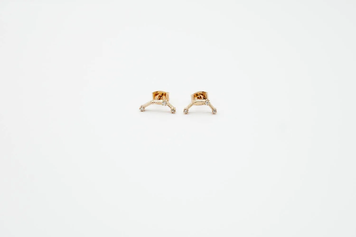 Aquarius Earrings Jan 20. - Feb 18.