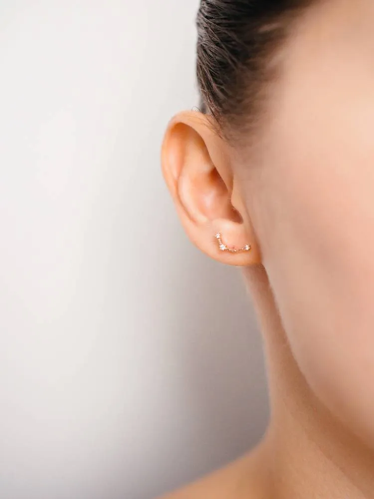 Aquarius Earrings Jan 20. - Feb 18.
