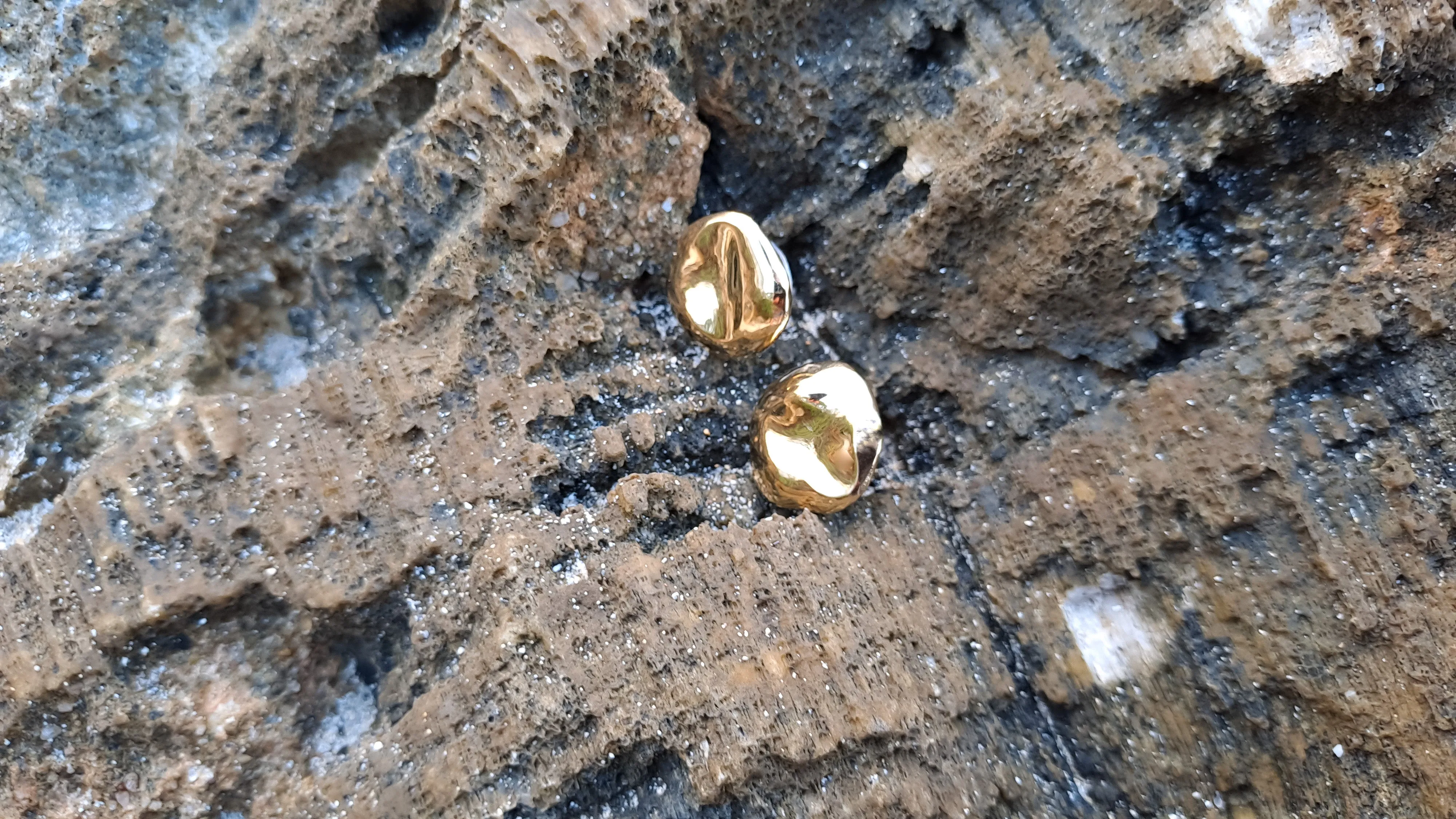 Elegant Bahari Stud Earrings with Intricate Design