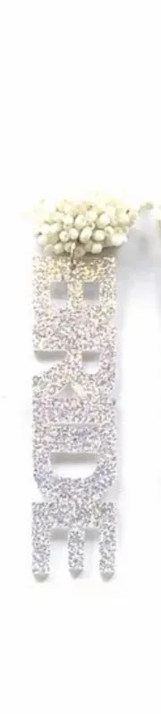 Bride Earrings (Various Styles)