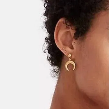 Brushed Unicorn Earrings