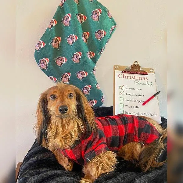 Custom Pet Art Christmas Stockings