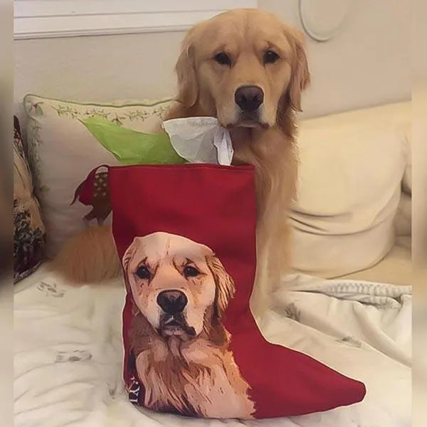 Custom Pet Art Christmas Stockings