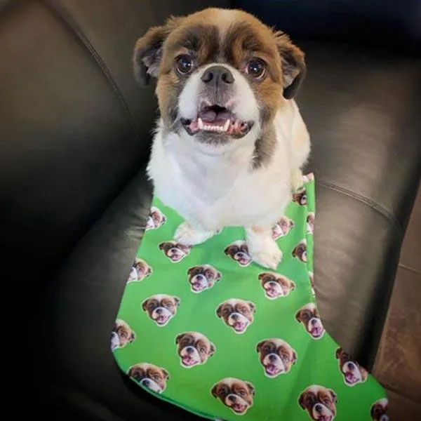 Custom Pet Art Christmas Stockings
