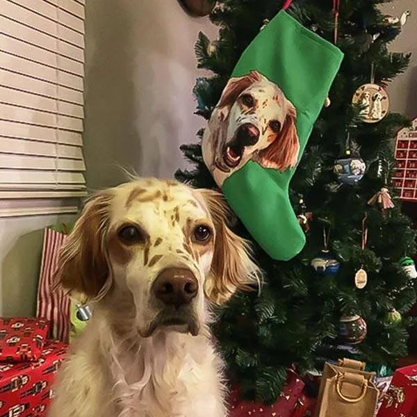 Custom Pet Art Christmas Stockings