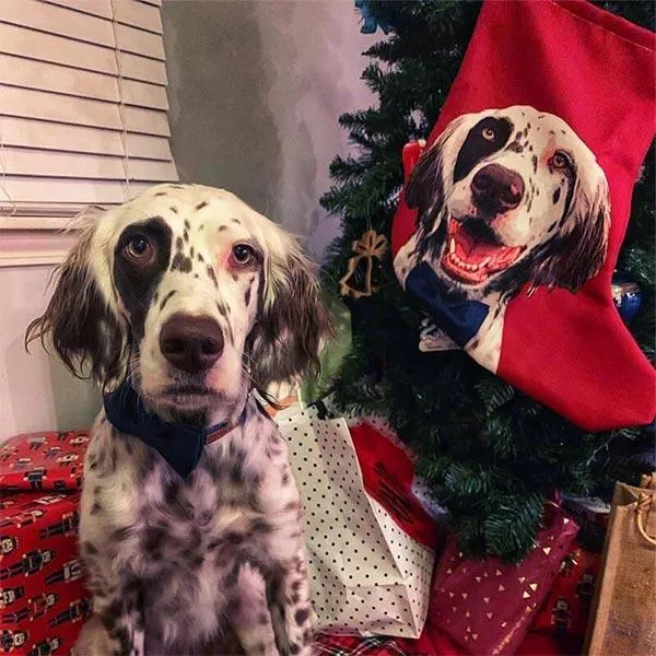 Custom Pet Art Christmas Stockings