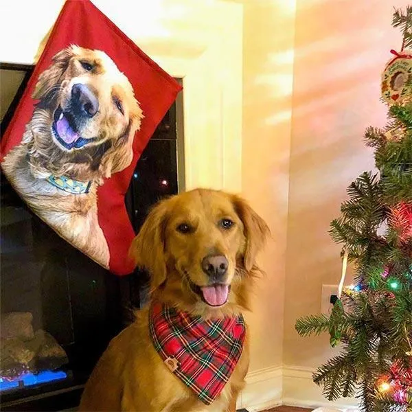 Custom Pet Art Christmas Stockings