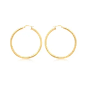 Duo Solid 9ct Yellow Gold Classic Hoops (23.50mm)