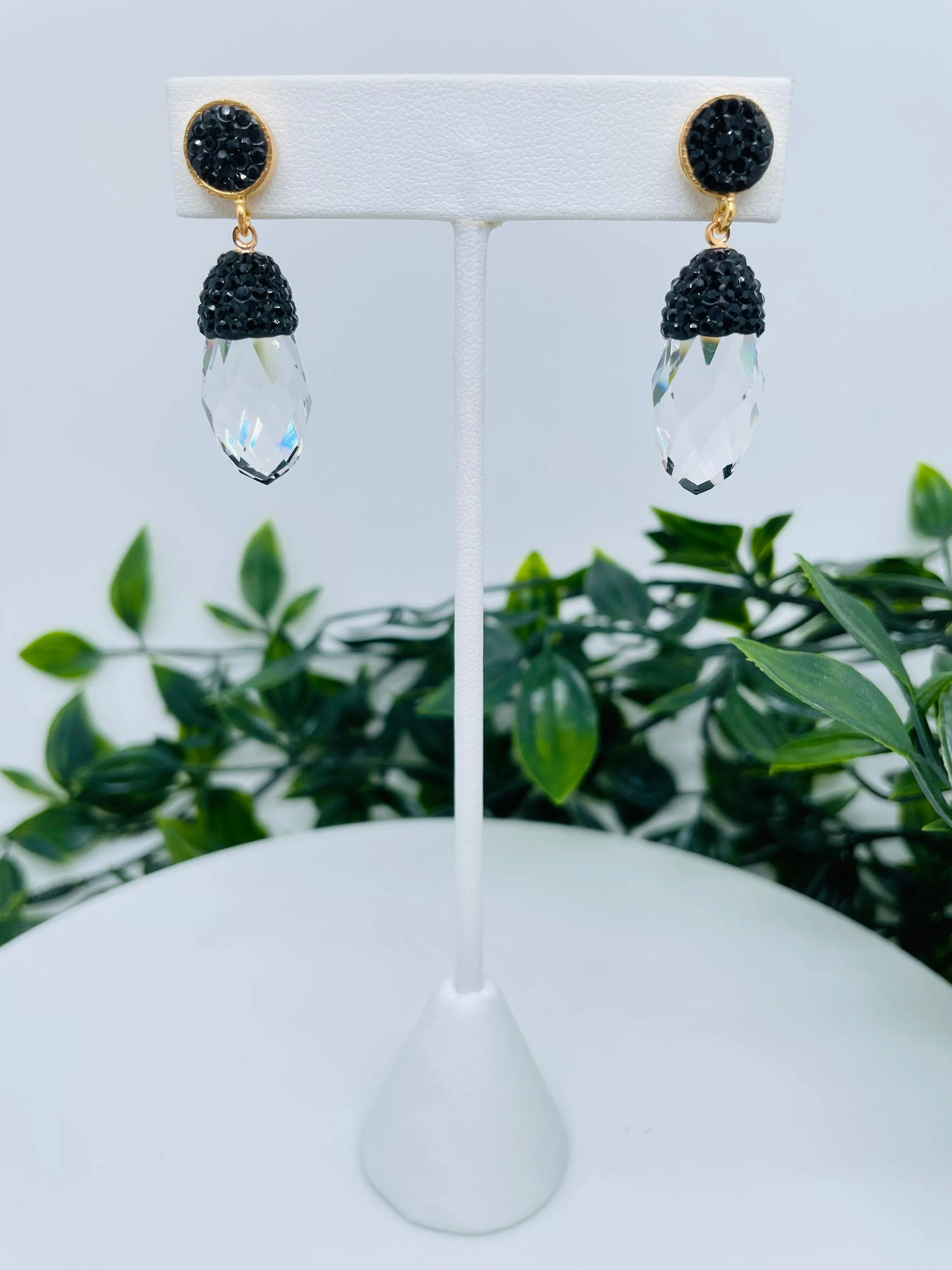 Earrings - ER60