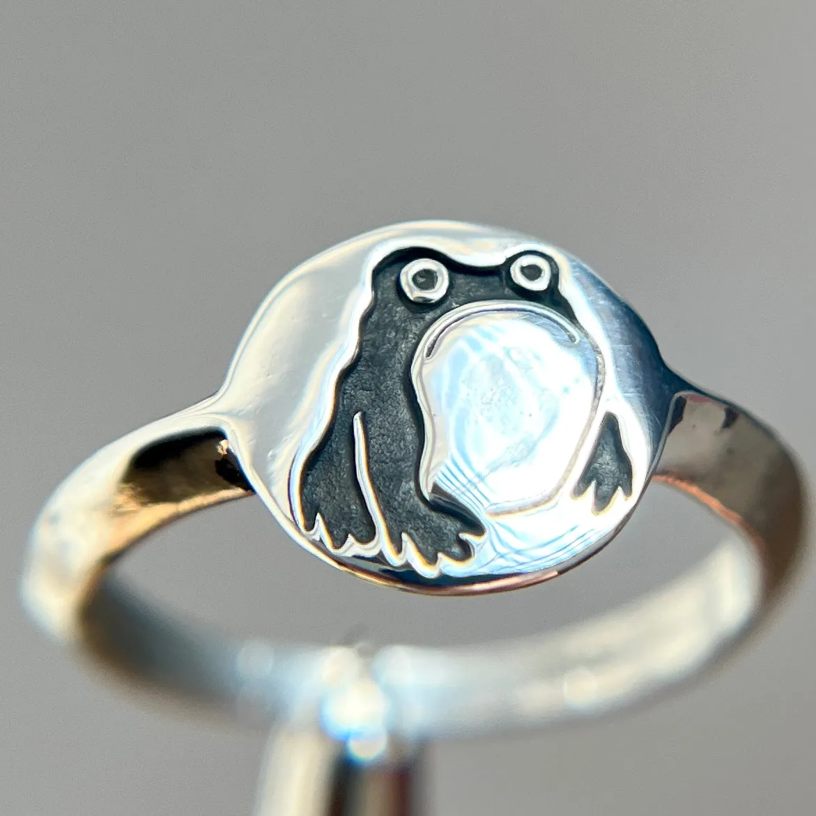 Grumpy Frog signet