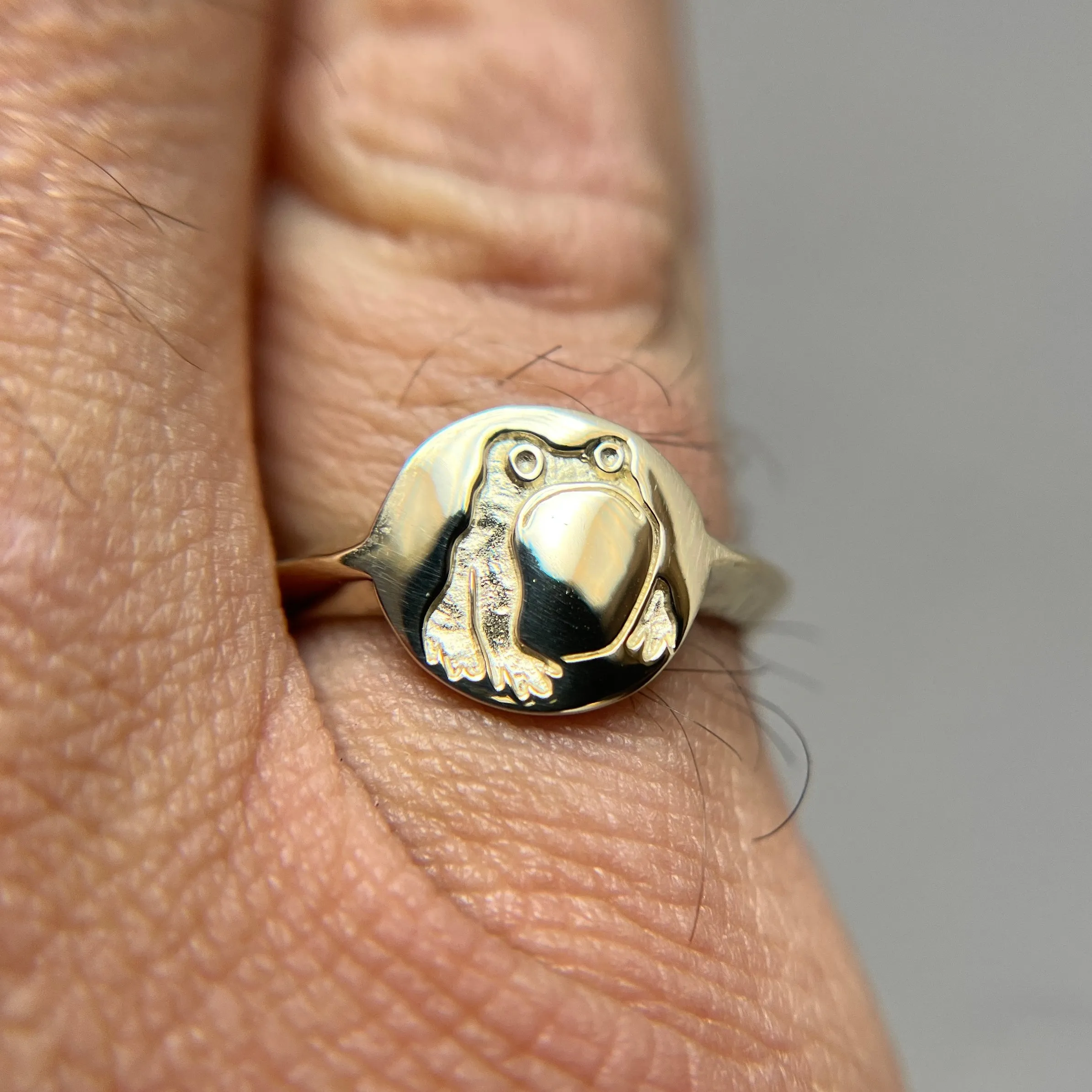 Grumpy Frog signet