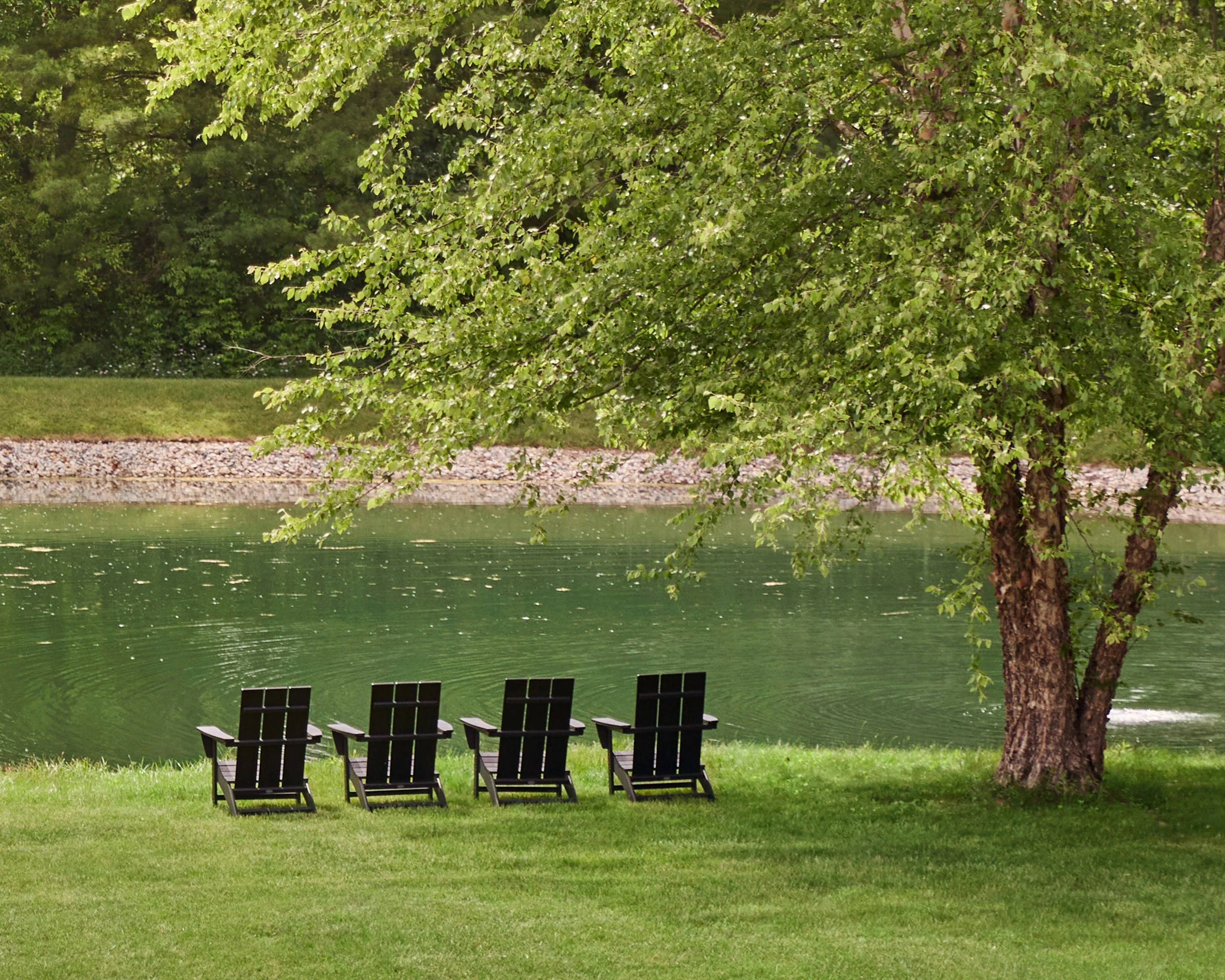 Modern Adirondack Chair