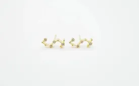 Scorpio Earrings Oct 23. - Nov 21.