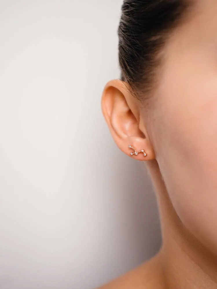 Virgo Earrings Aug 23. - Sept 22.